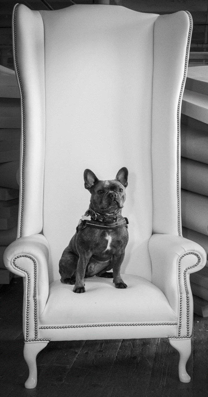 Pablo THE BOLTON REVIEW