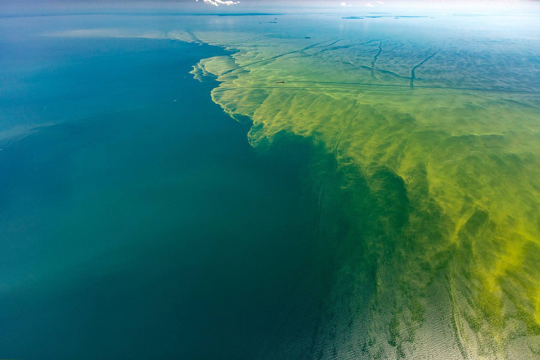 What We Can do to Help Reduce Water Pollution in Our Lakes Bom Dia
