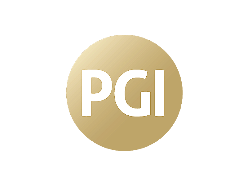 Protection Group International (PGI) BOM IT Solutions l IT Support