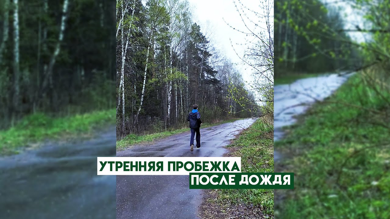 Запах земли после дождя как называется Биологи доказали, что "запах