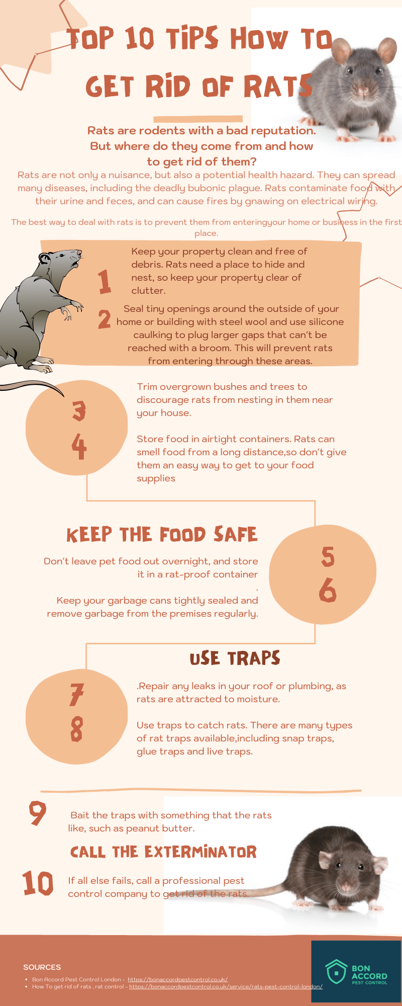 Rats in London A Growing Problem Bon Accord London