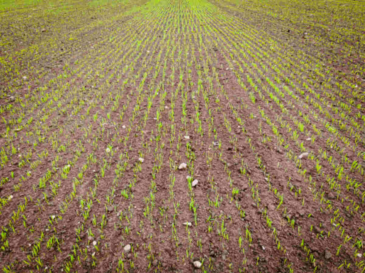 Arknights Best Farming Stages Material Farming Efficiency Guide