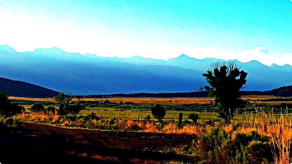 About Bonanza Road Bonanza Road