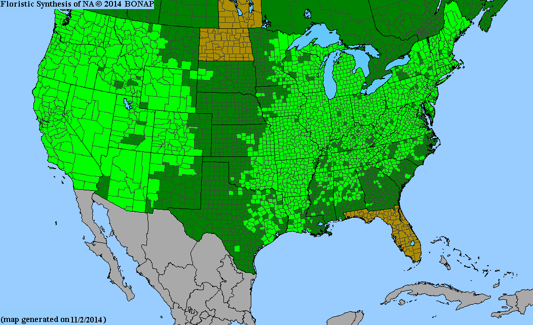 2013 BONAP North American Plant Atlas. TaxonMaps