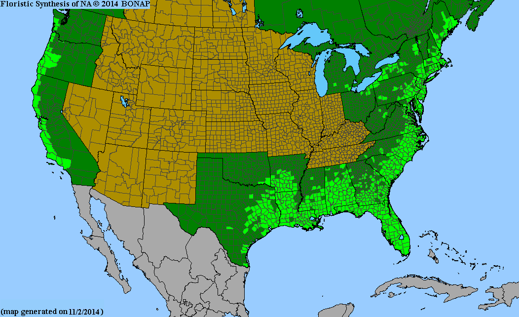 2013 BONAP North American Plant Atlas. TaxonMaps
