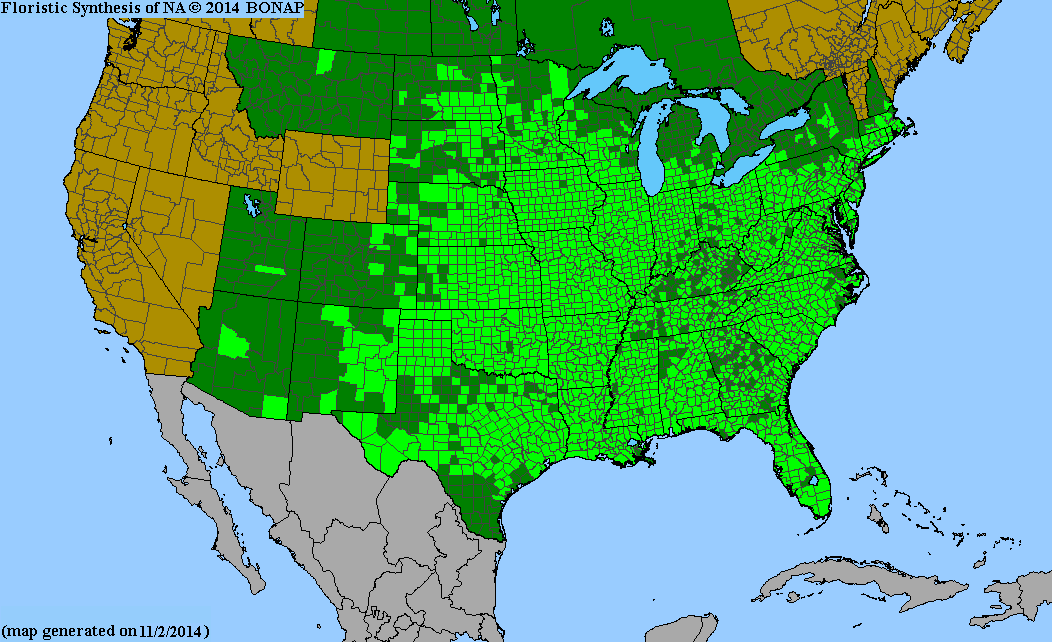 2013 BONAP North American Plant Atlas. TaxonMaps