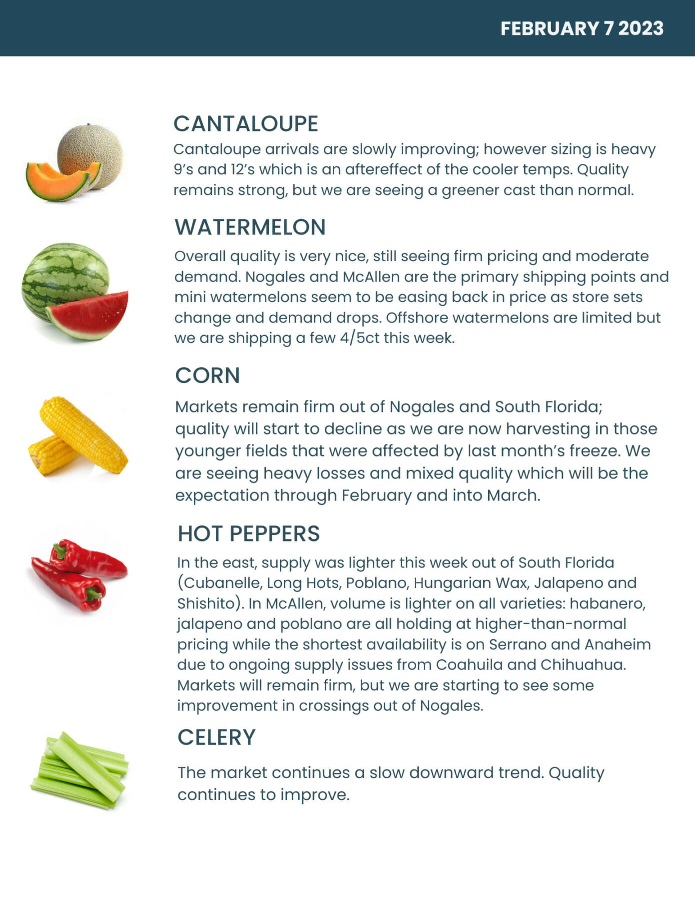 Bondi Produce Market Report February 7th 2023 Bondi Produce