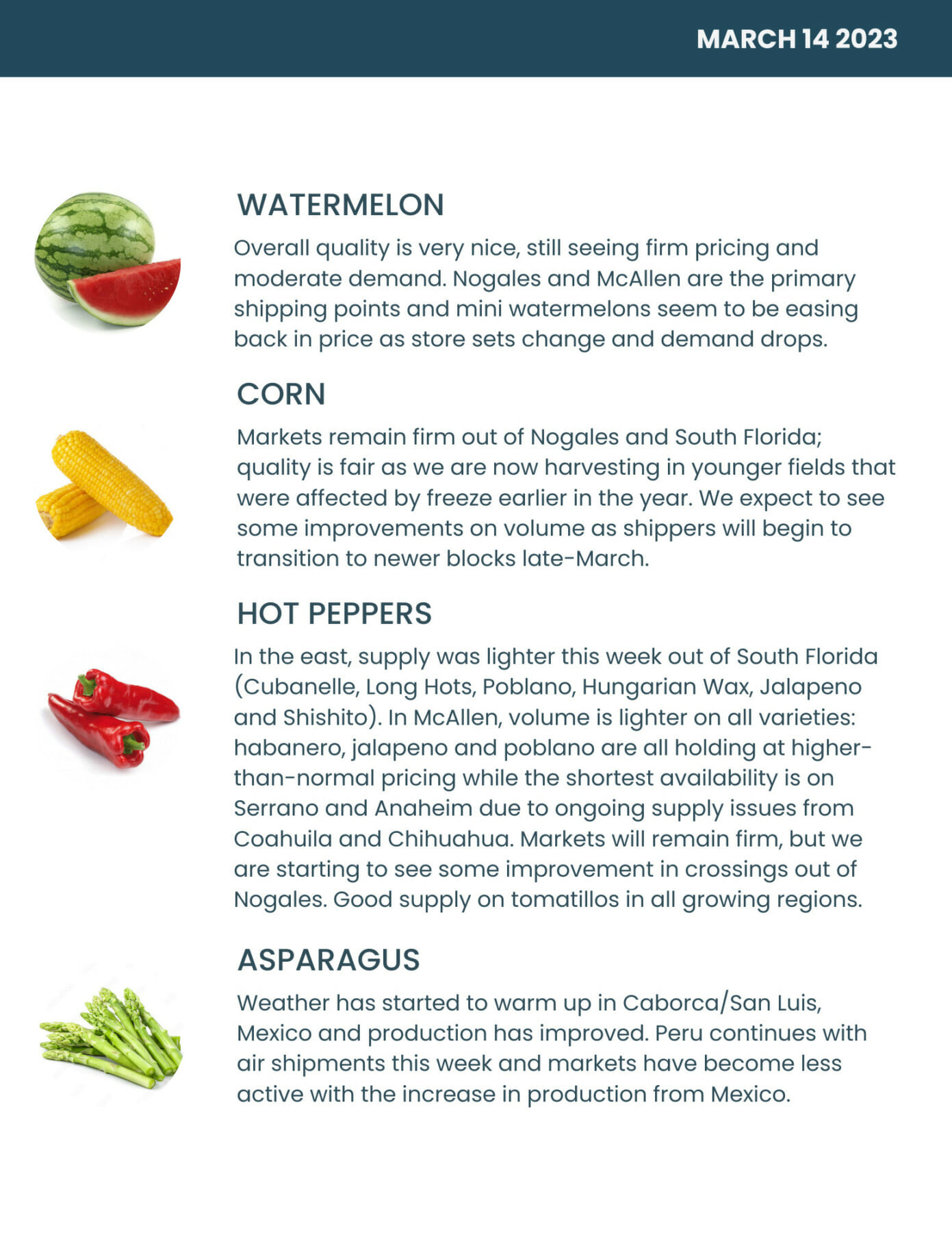 Bondi Produce Market Report March 14th 2023 Bondi Produce