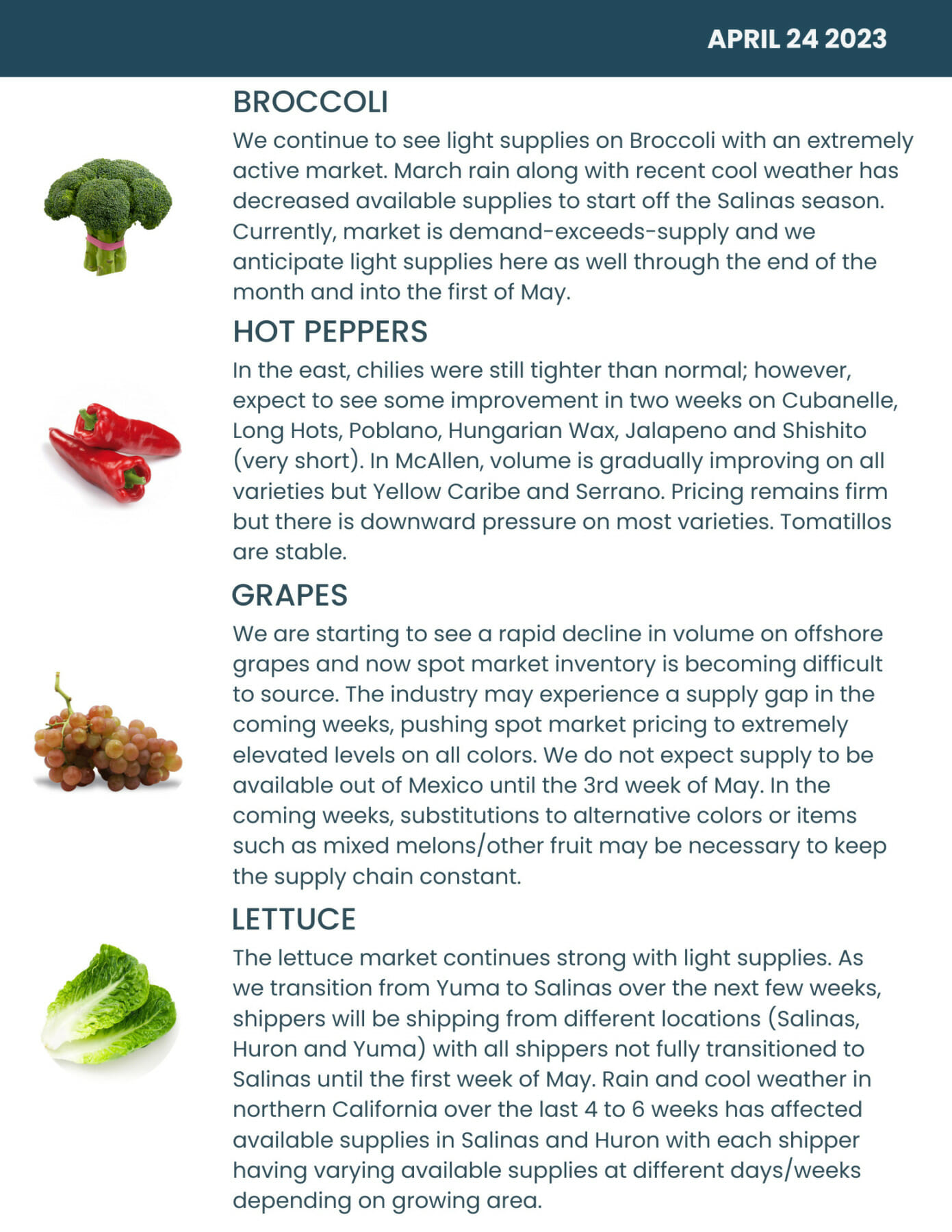 Bondi Produce Market Report April 24th 2023 Bondi Produce