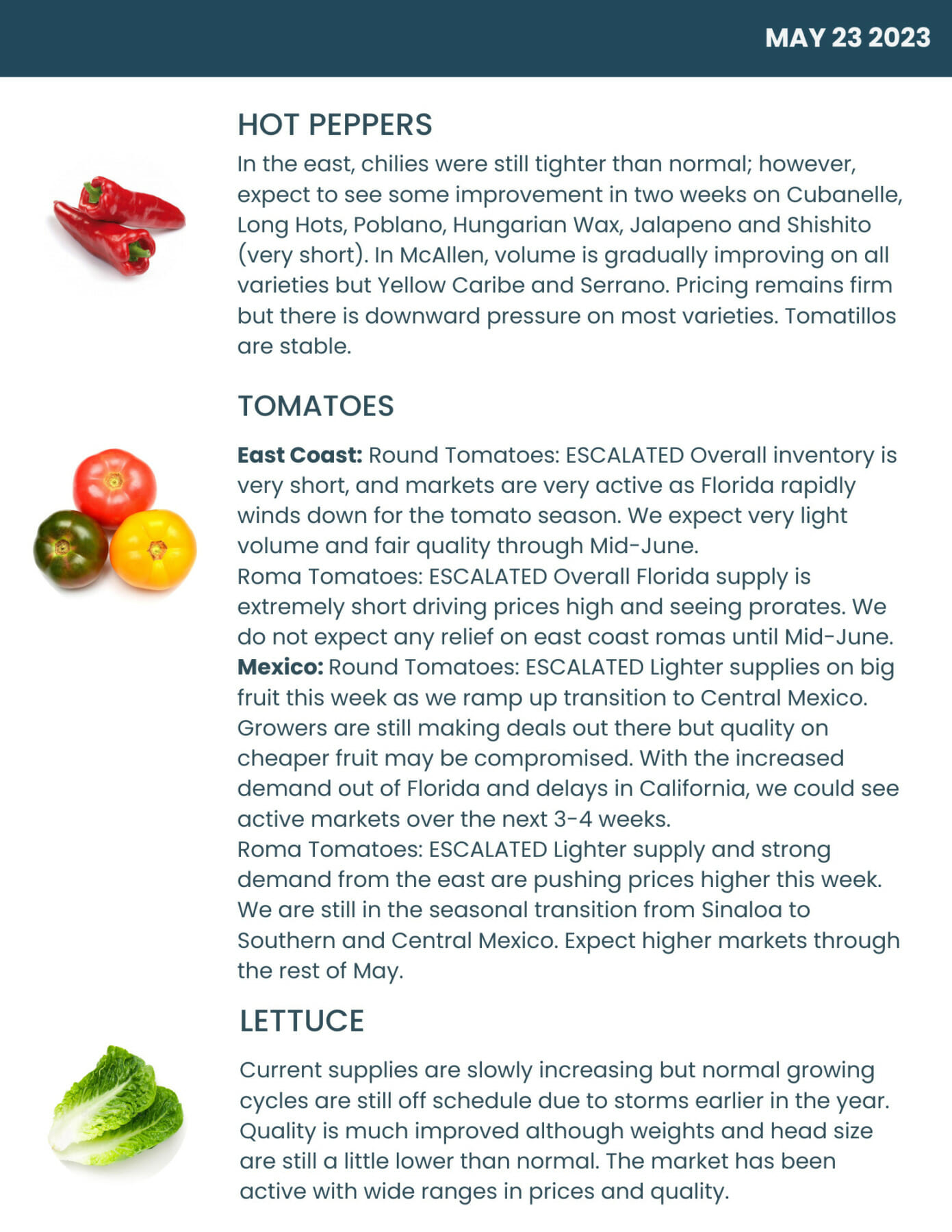 Bondi Produce Market Report May 23rd 2023 Bondi Produce