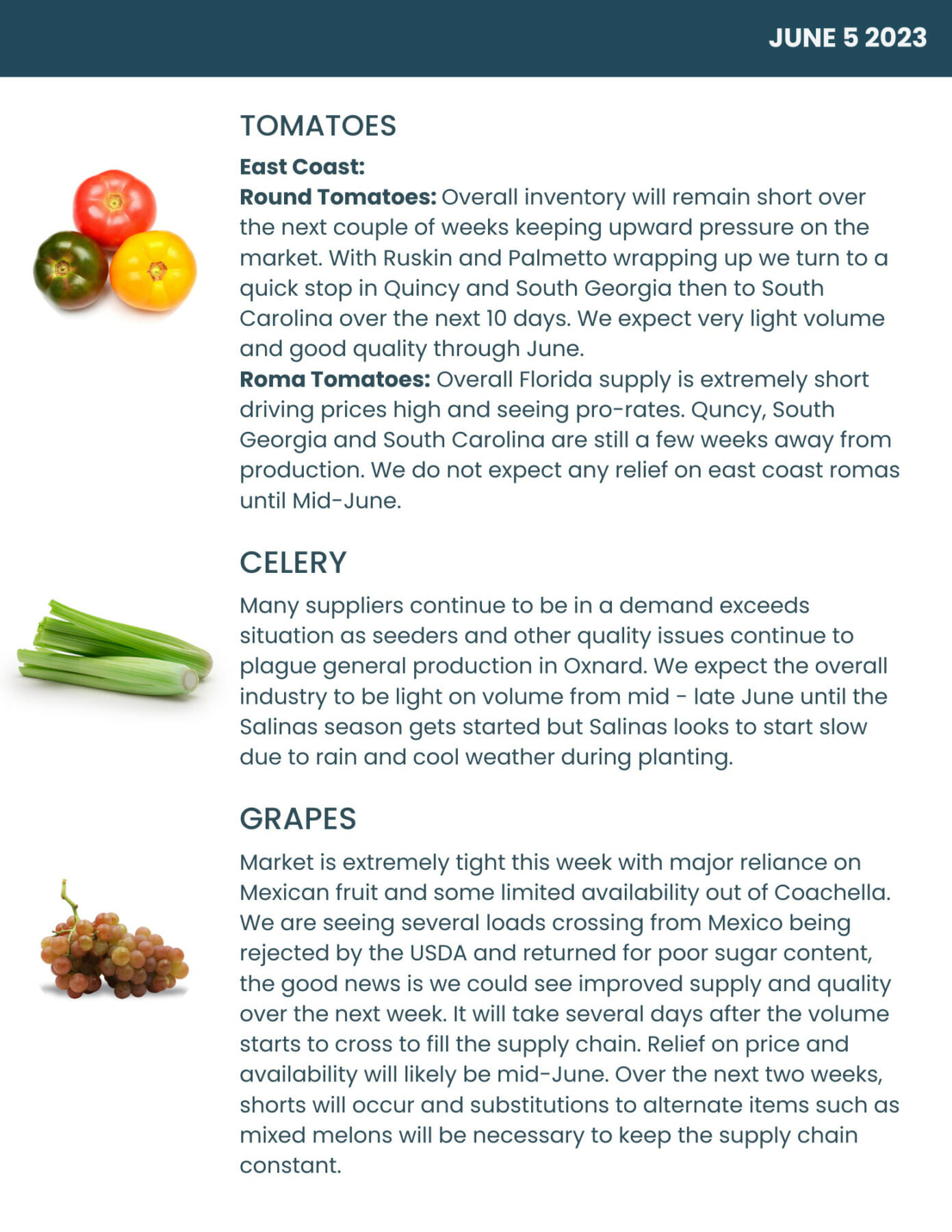 Bondi Produce Market Report June 6th 2023 Bondi Produce