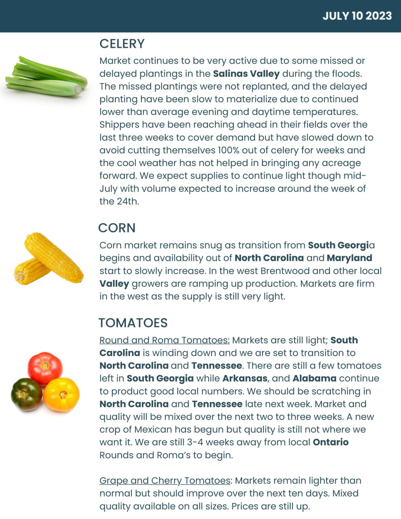 Bondi Produce Market Report July 10th 2023 Bondi Produce