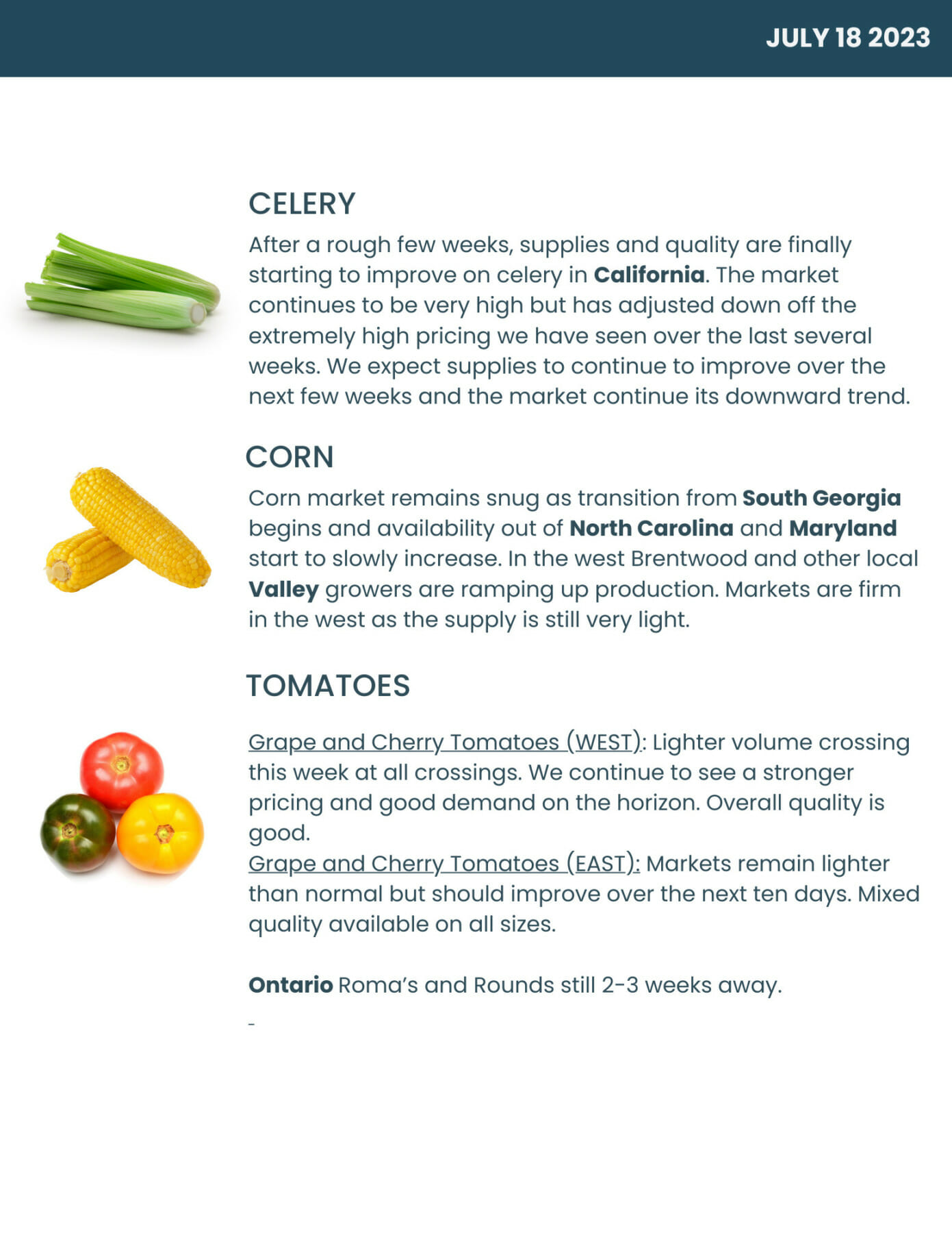 Bondi Produce Market Report July 18th 2023 Bondi Produce