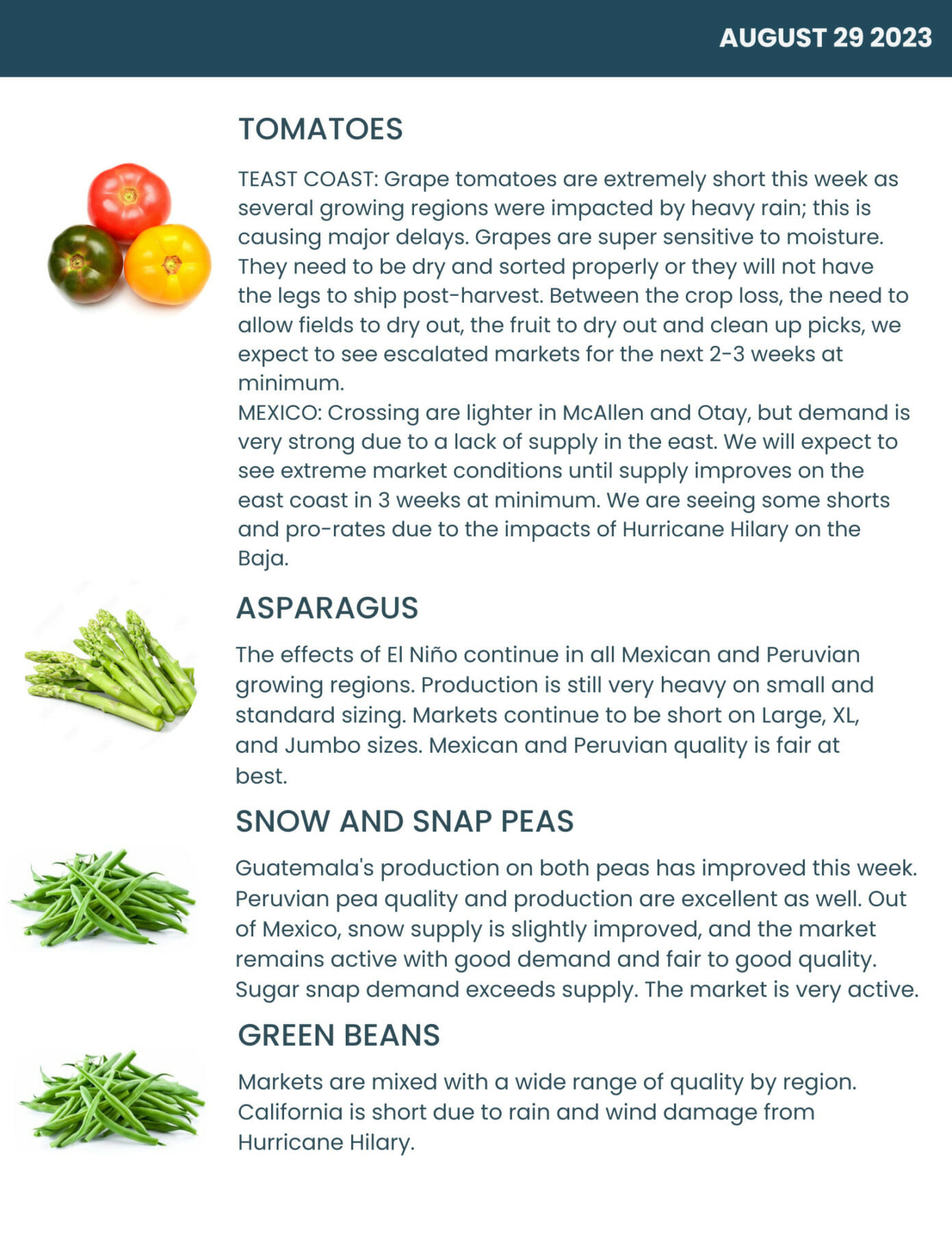 Bondi Produce Market Report August 29th 2023 Bondi Produce