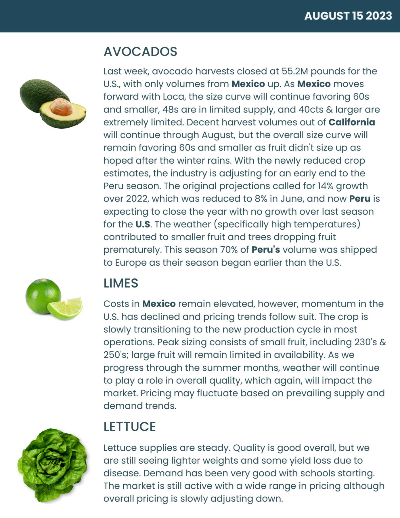 Bondi Produce Market Report August 15th 2023 Bondi Produce