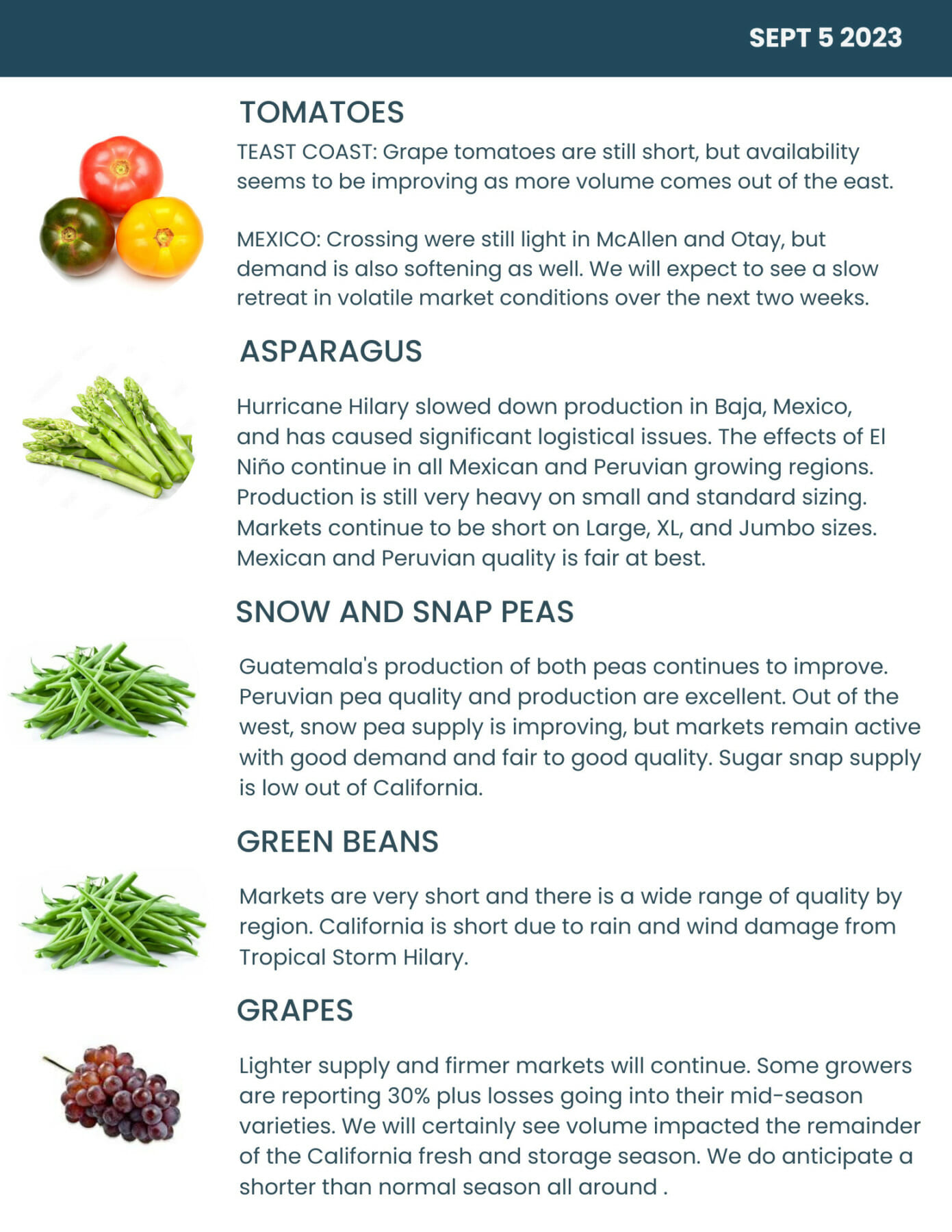 Bondi Produce Market Report September 5th 2023 Bondi Produce