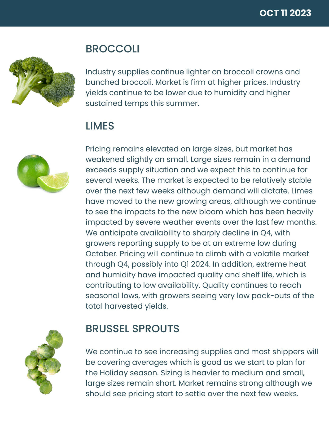 Bondi Produce Market Report October 11th 2023 Bondi Produce