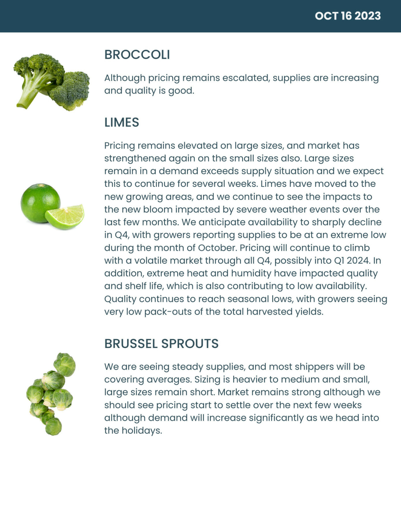 Bondi Produce Market Report October 16th 2023 Bondi Produce