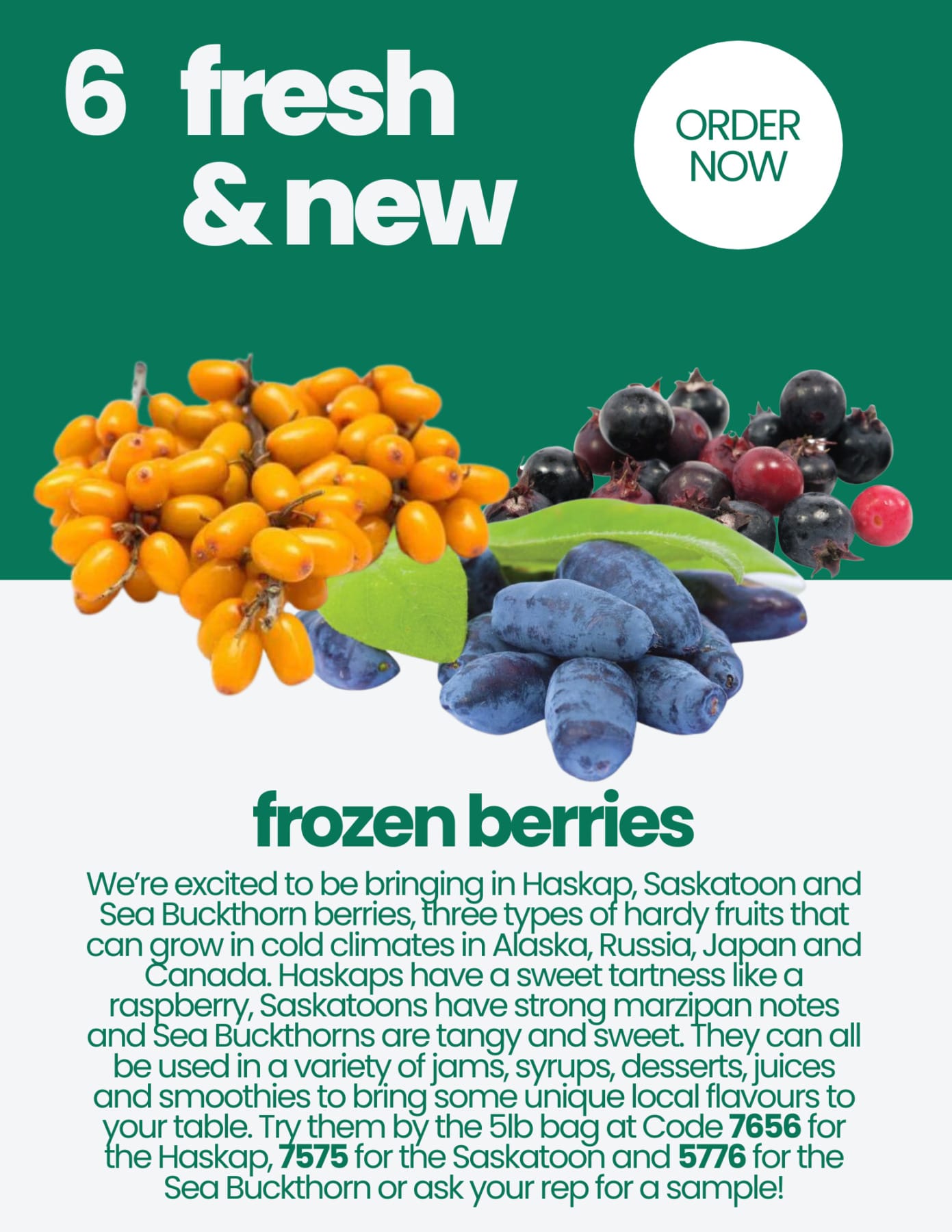 Bondi Produce Market Report November 7th 2023 Bondi Produce