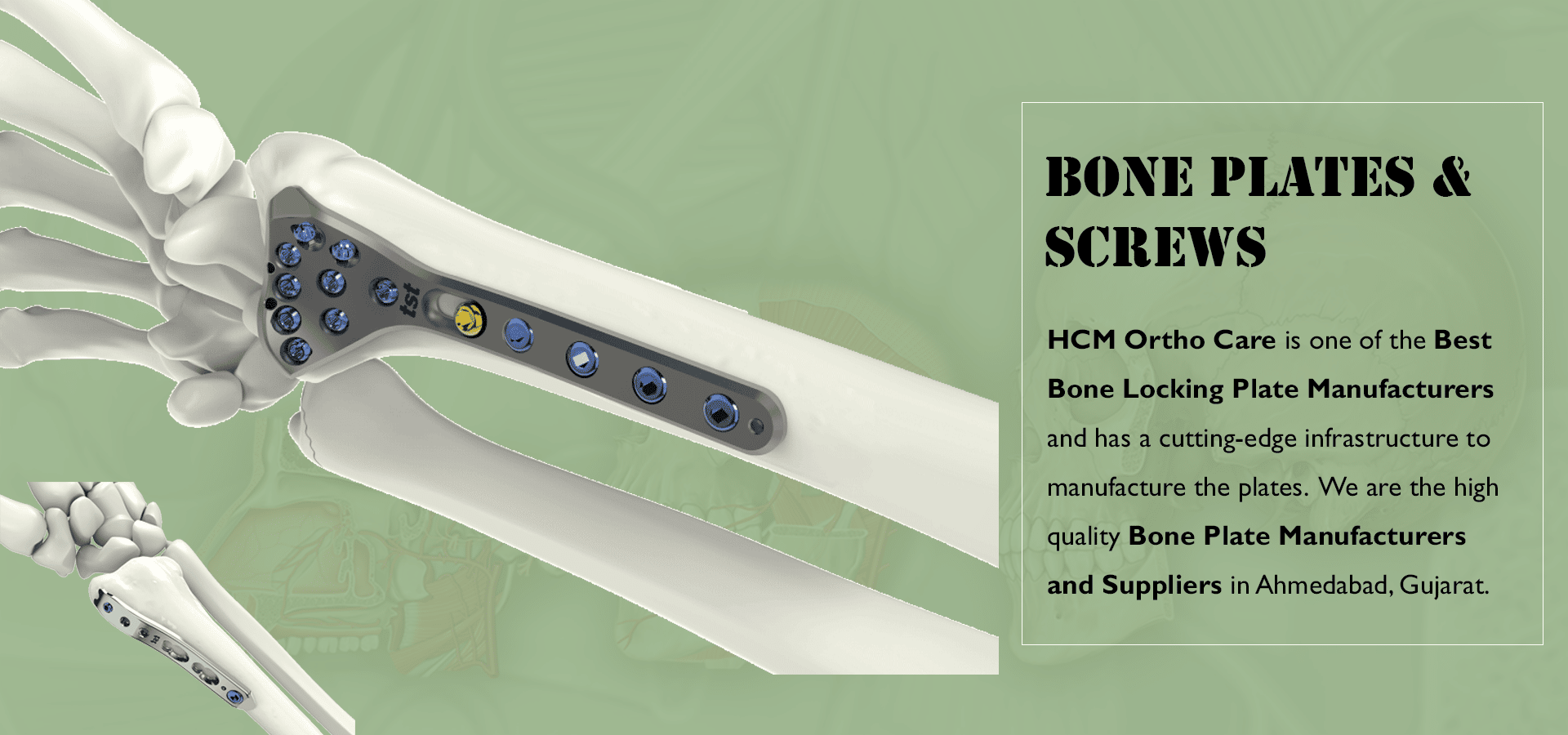 Bone Plates Manufacturer, Bone Plates, Bone Screw, Manufacturer