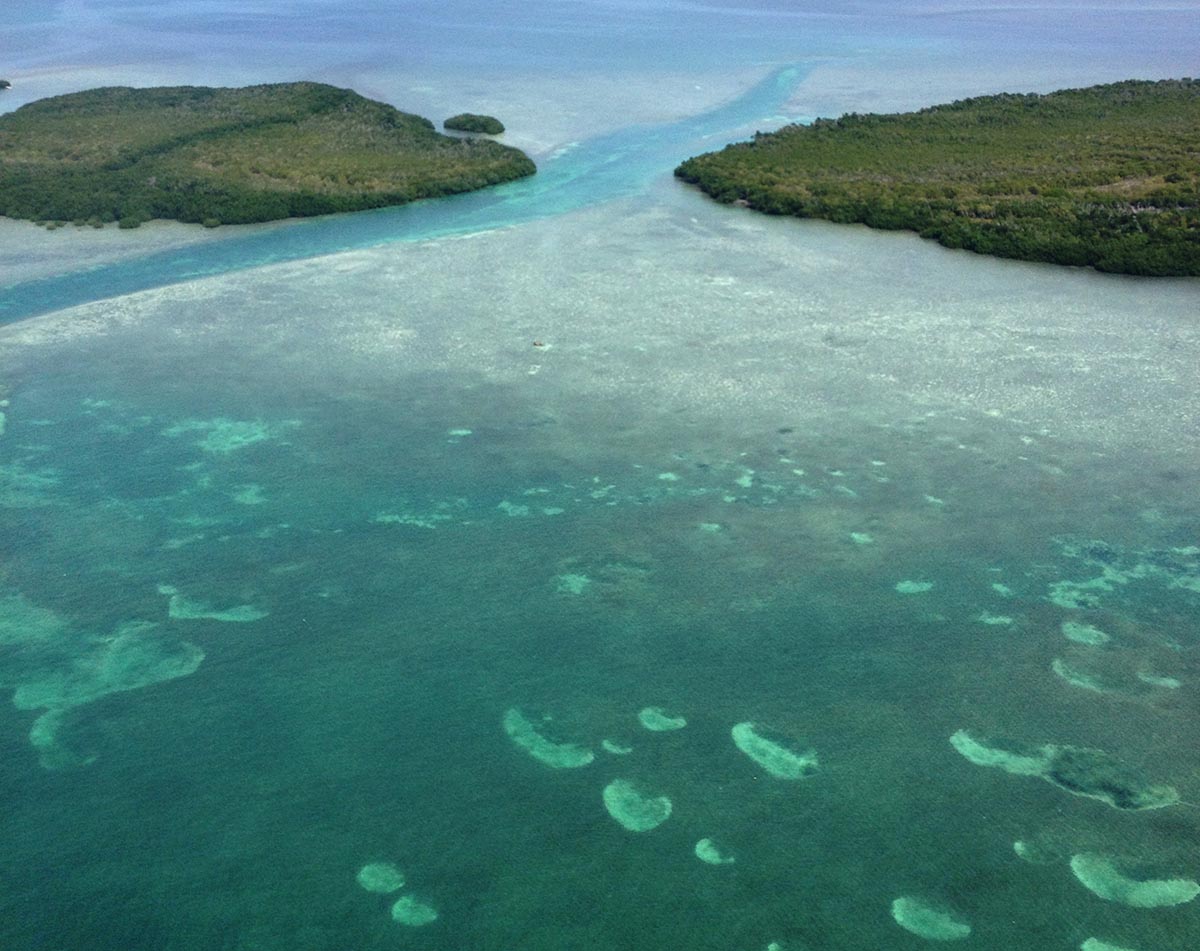 Lobster snorkel Key West Boneafide Charters