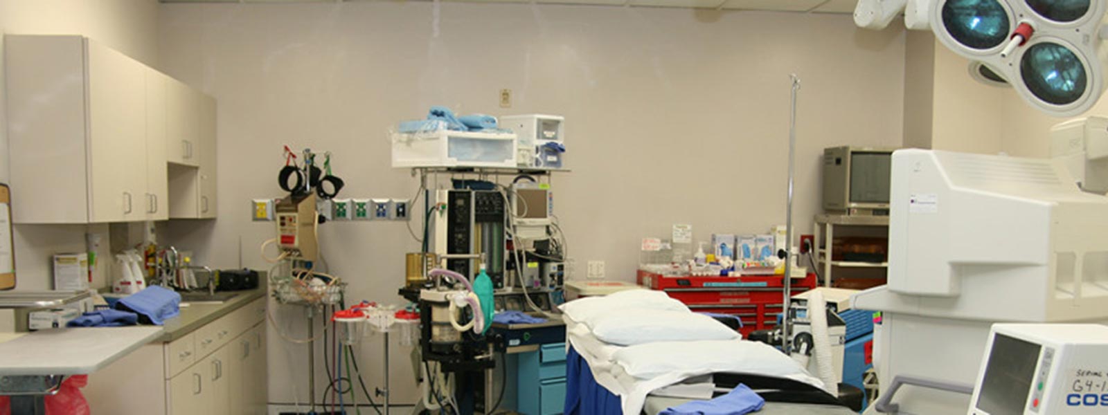 Orthopedic Doctors & Surgeons Marrero & Gretna LA Bone & Joint Clinic