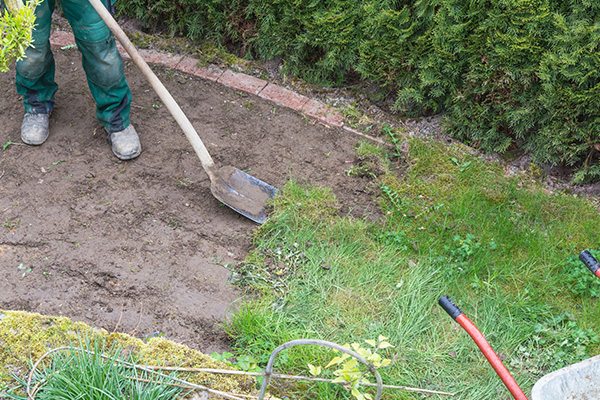 Lawn Reseeding, Denver, NC Bone's Yard Care Solutions