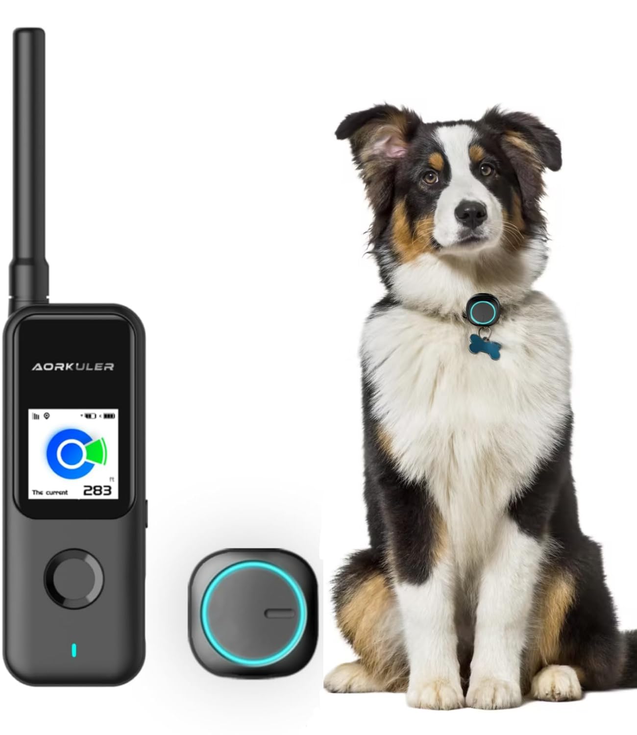 Top 6 Best Dog Tracker Without Subscription in 2024 Guides by Bone Voyage Dog Rescue