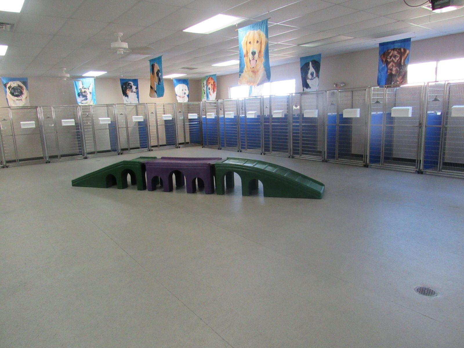 Facility Bone Voyage Pet Resort Garner NC