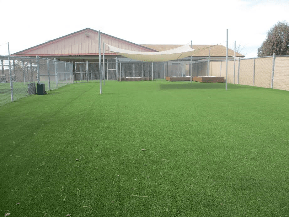 Facility Bone Voyage Pet Resort Garner NC