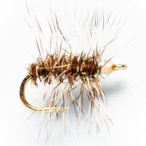 The 11 Best Brown Trout Flies (When & How to Fish)