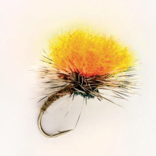 Best Rainbow Trout Flies for All Seasons Match the Hatch