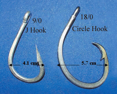 A Guide to Choose the Right Hook Size for Fishing