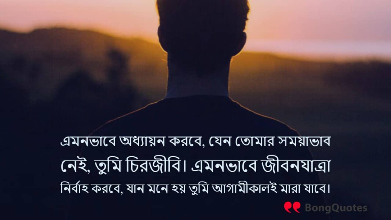 Astonishing Compilation of 999+ Bengali Inspirational Quotes with