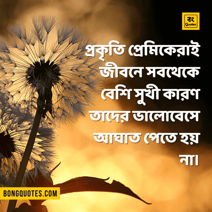 প্রকৃতি নিয়ে উক্তি, বাণী, স্টেটাস, ফটো Bengali best Nature Quotes