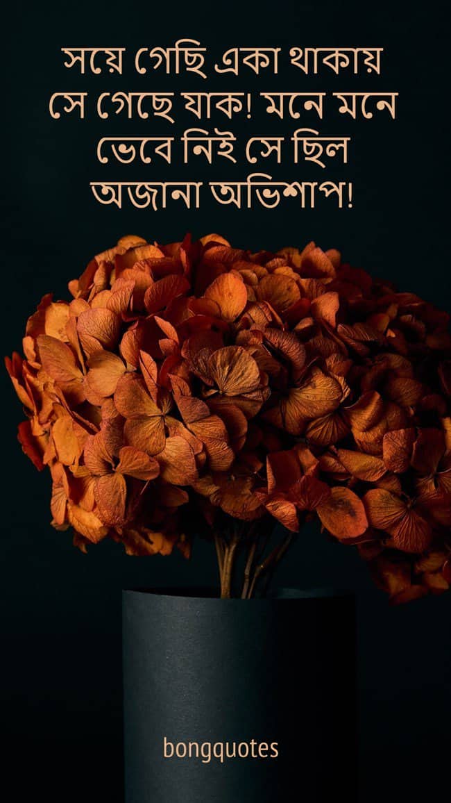 অভিশাপ নিয়ে উক্তি, ক্যাপশন, কবিতা, Best quotes on curse in Bengali