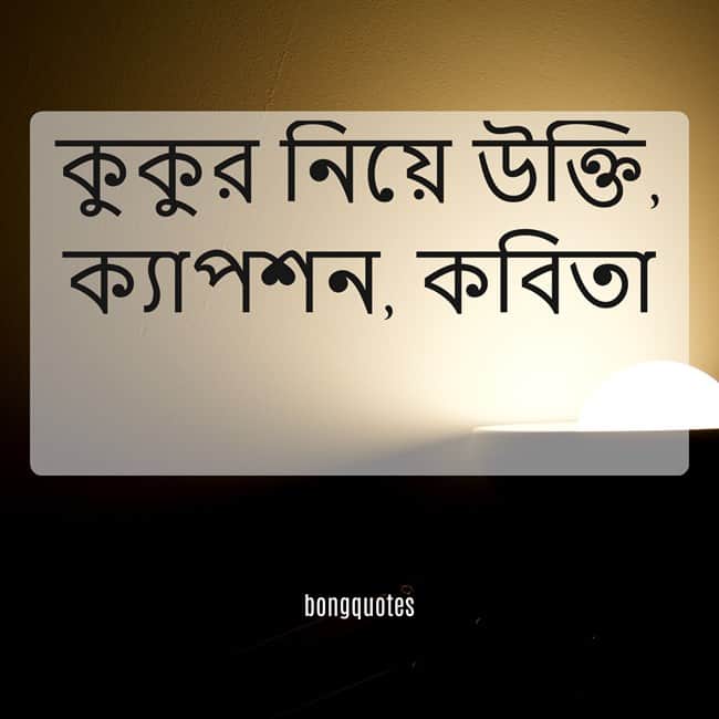 কুকুর নিয়ে উক্তি, ক্যাপশন, কবিতা, Best captions on Dogs in Bengali