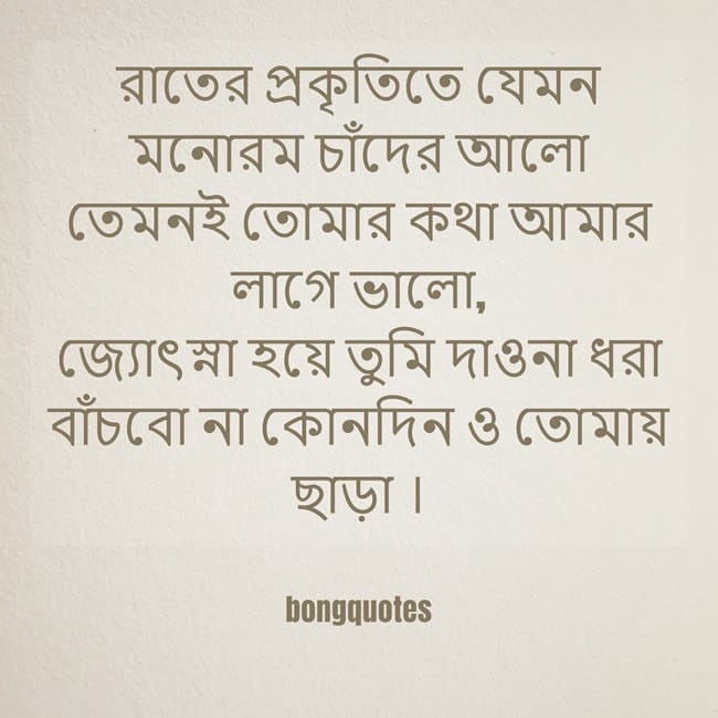 রাতের প্রকৃতি নিয়ে উক্তি, ক্যাপশন, কবিতা, Night nature quotes in Bengali