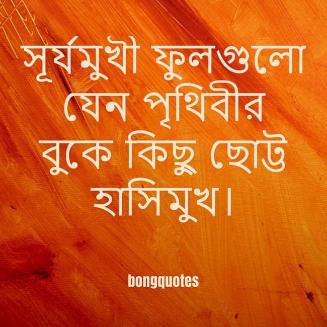 সূর্যমুখী নিয়ে লেখা উক্তি, স্ট্যাটাস, ক্যাপশন, quotes on Sunflower in Bengali