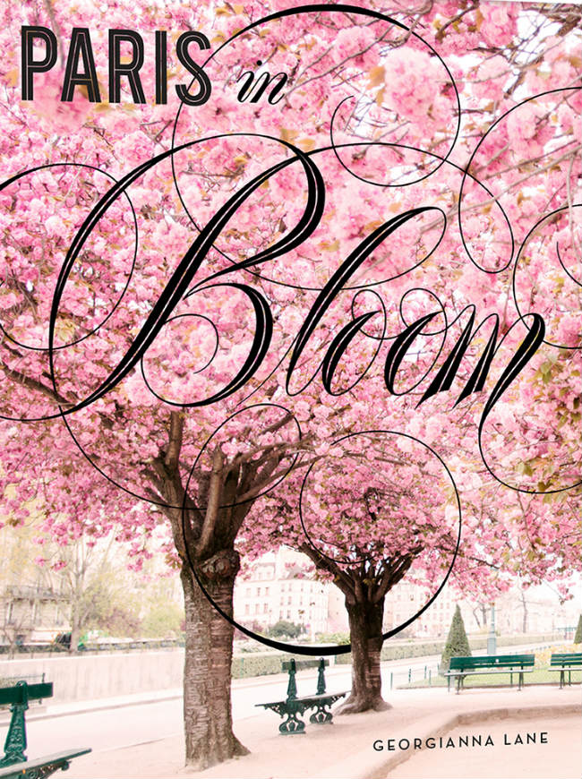 Best Florists and Flower Shops in Paris, as Depicted in “Paris in Bloom