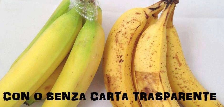 Raccolta di idee geniali (61 Foto)