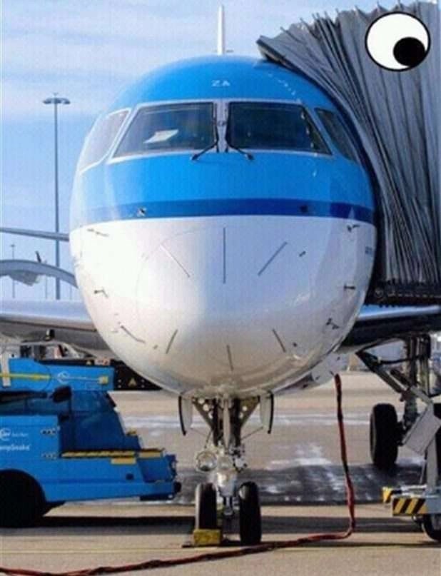 Immagini divertenti del giorno (31 Foto)