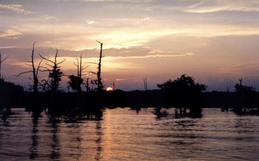 Bonne Terre Vacation Rentals Louisiana Farm Stay, Getaway, Artists