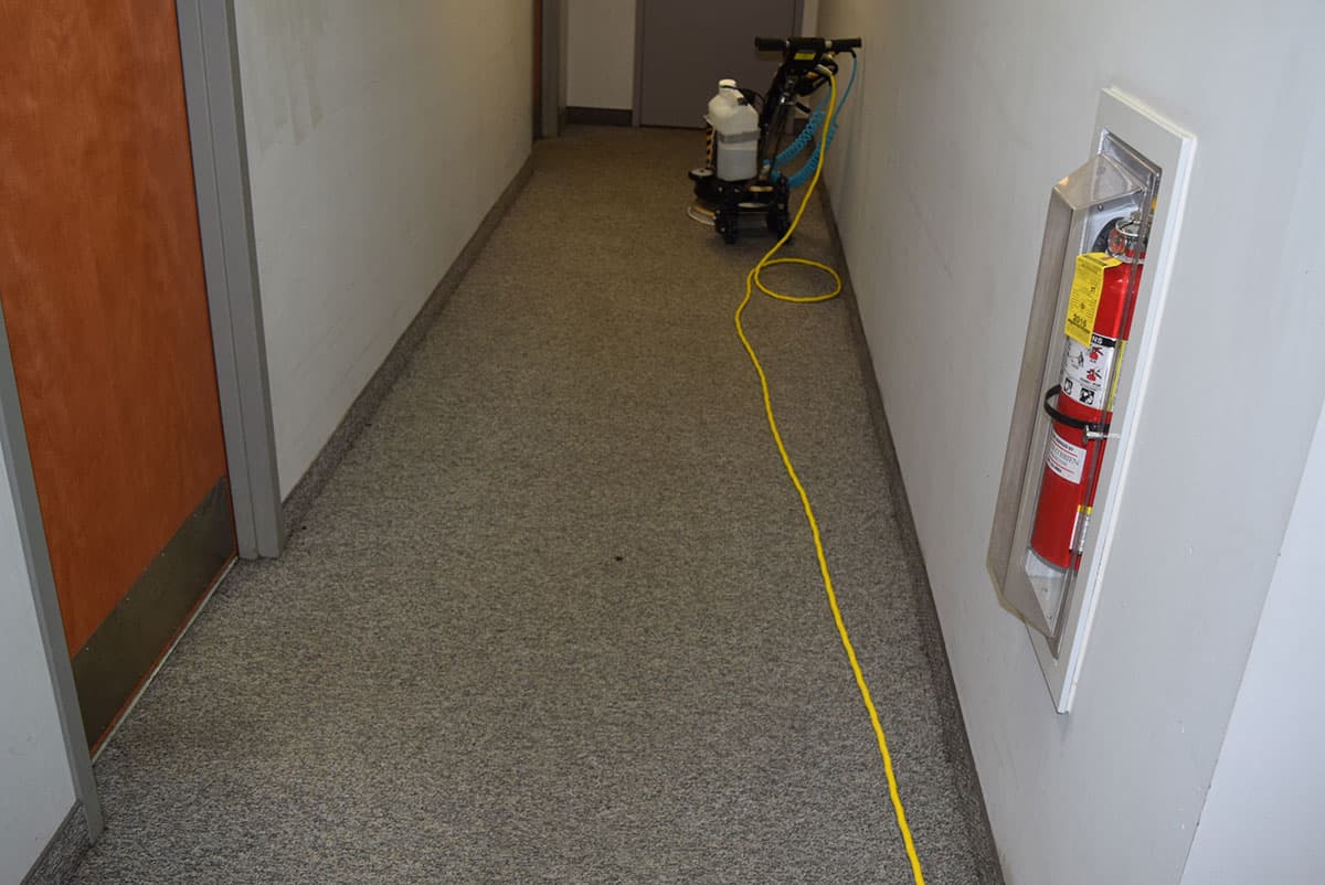 Pro Carpet Cleaning Equipment