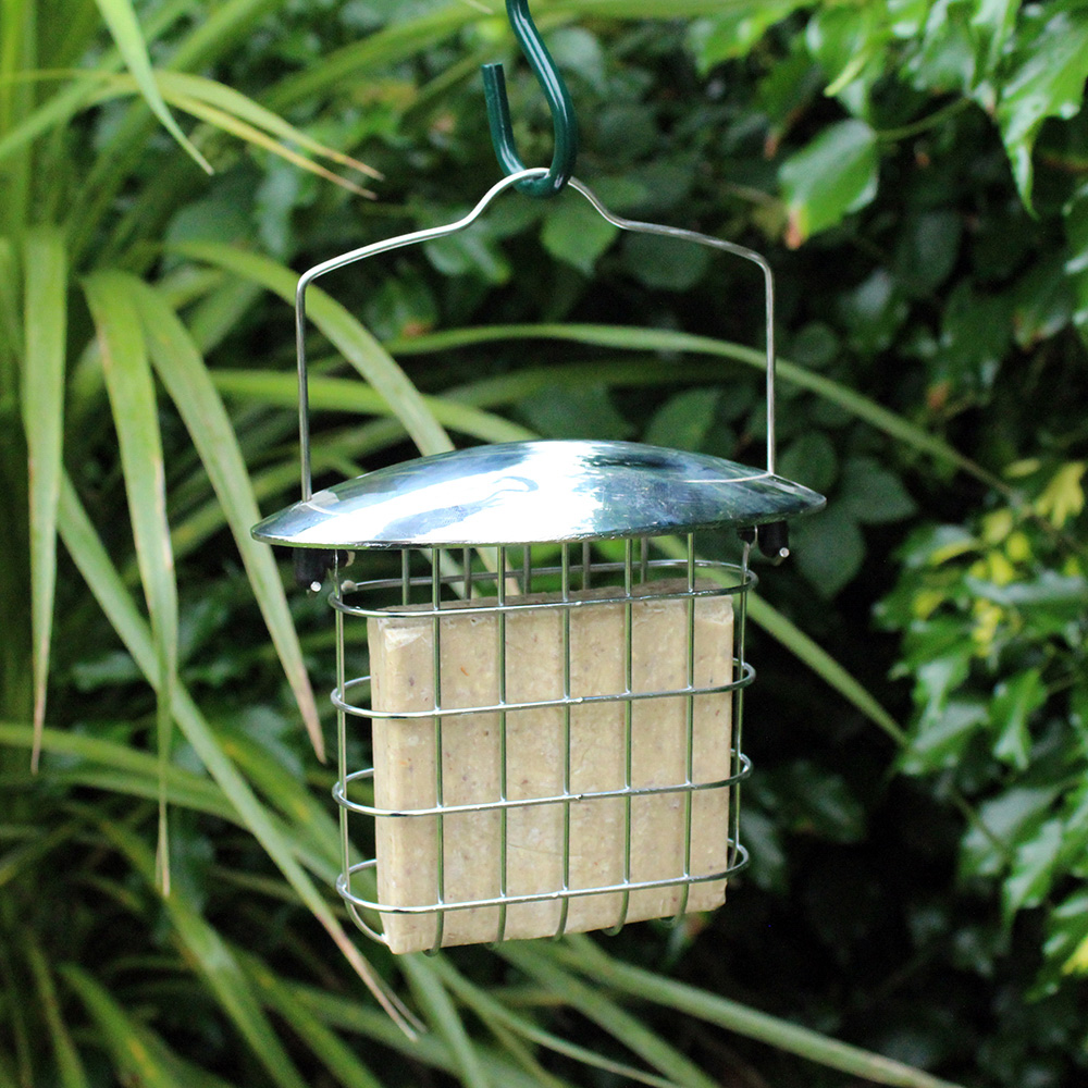 Deluxe Suet Cake Feeder Bonningtons