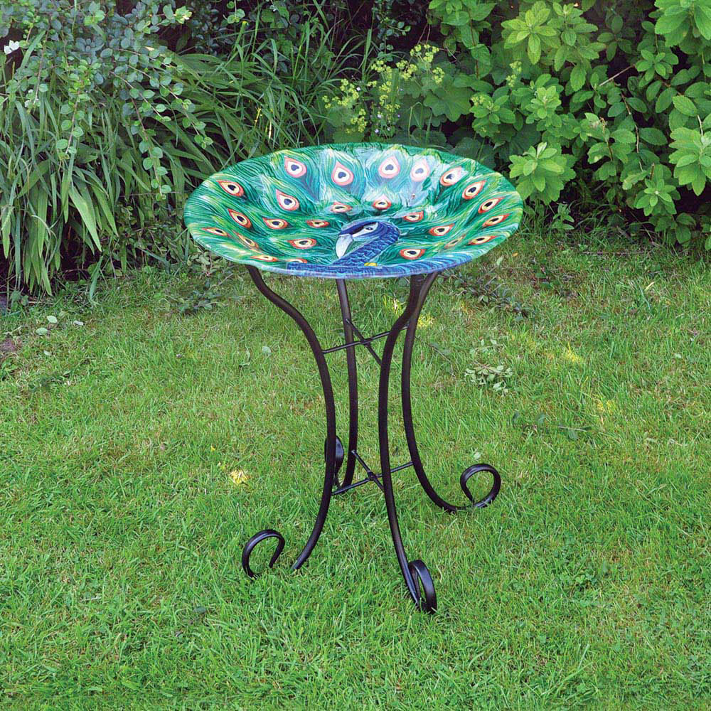 Glass Peacock Bird Bath Bonningtons