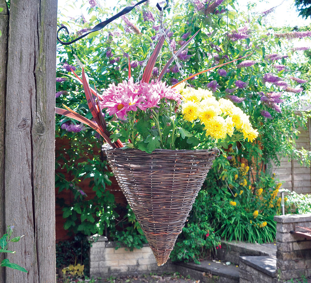 12 Inch (30Cm) Dark Rattan Cone Hanging Basket Bonningtons