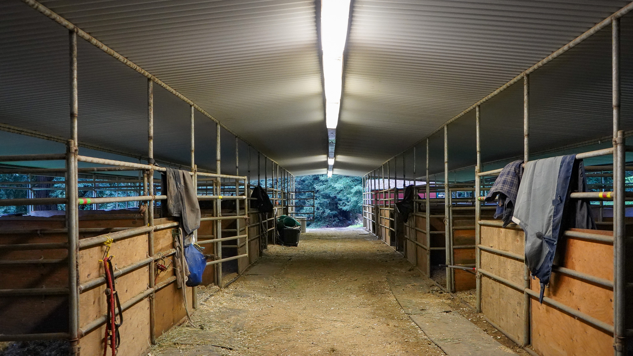 Facilities & Boarding Bonny Doon Equestrian Park