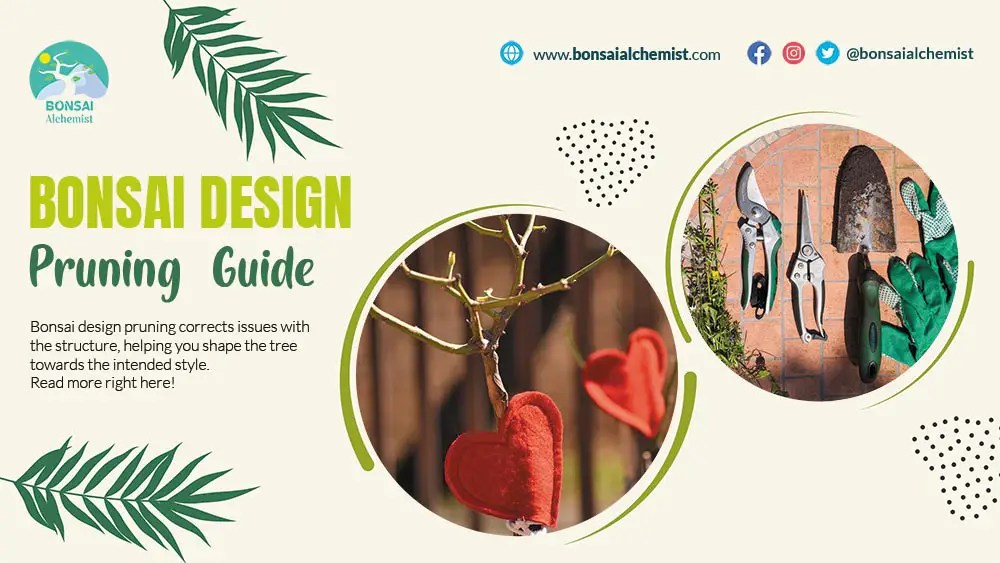 Bonsai Design Pruning Guide Bonsai Alchemist 101