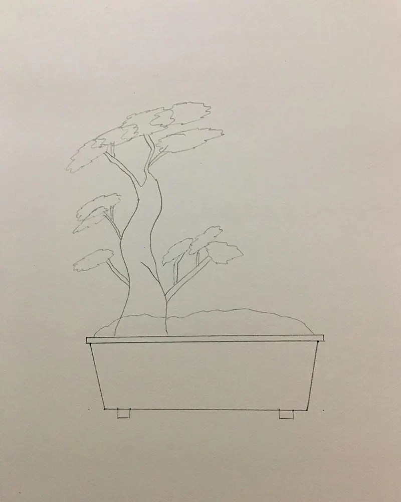 How to Draw a Bonsai Tree Easy StepbyStep Guide